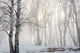 http://c328301.r1.cf1.rackcdn.com/DPI1876256.jpg