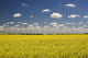http://c328301.r1.cf1.rackcdn.com/DPI1882659.jpg