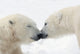 http://c328301.r1.cf1.rackcdn.com/DPI1883604.jpg