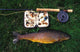 http://c328301.r1.cf1.rackcdn.com/DPI1885311.jpg