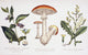 http://c328301.r1.cf1.rackcdn.com/DPI1903895.jpg