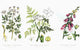 http://c328301.r1.cf1.rackcdn.com/DPI1903896.jpg