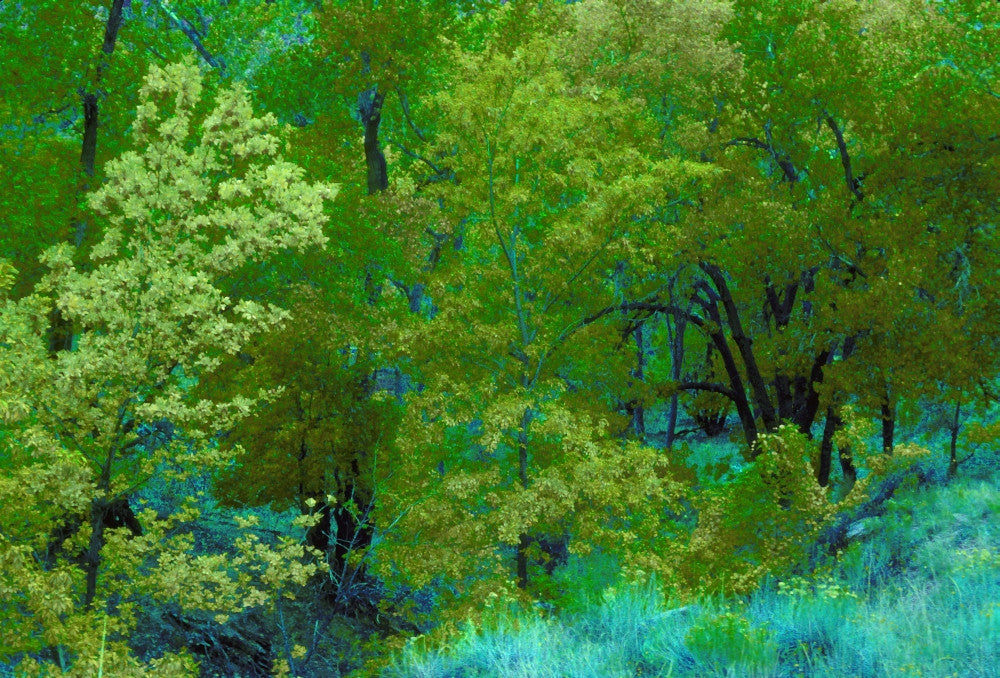 http://c328301.r1.cf1.rackcdn.com/DPI191131LARGE.jpg