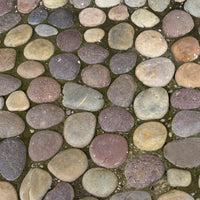 http://c328301.r1.cf1.rackcdn.com/DPI1939224.jpg