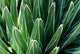 http://c328301.r1.cf1.rackcdn.com/DPI1976338.jpg