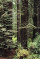 http://c328301.r1.cf1.rackcdn.com/DPI1976923.jpg