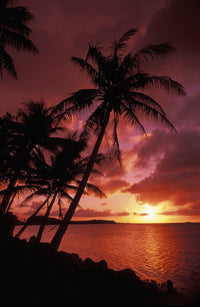 http://c328301.r1.cf1.rackcdn.com/DPI1986890.jpg