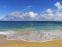 http://c328301.r1.cf1.rackcdn.com/DPI1990646LARGE.jpg