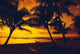 http://c328301.r1.cf1.rackcdn.com/DPI1992830.jpg
