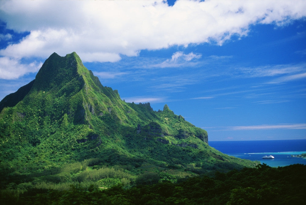 http://c328301.r1.cf1.rackcdn.com/DPI1994049LARGE.jpg