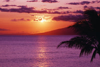 http://c328301.r1.cf1.rackcdn.com/DPI1995382LARGE.jpg