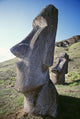 http://c328301.r1.cf1.rackcdn.com/DPI1995523.jpg