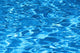 http://c328301.r1.cf1.rackcdn.com/DPI1999783.jpg
