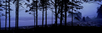 http://c328301.r1.cf1.rackcdn.com/DPI2010128.jpg