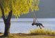 http://c328301.r1.cf1.rackcdn.com/DPI2010843.jpg