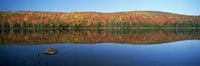 http://c328301.r1.cf1.rackcdn.com/DPI2020878LARGE.jpg