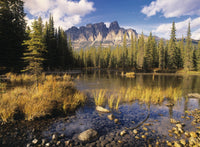 http://c328301.r1.cf1.rackcdn.com/DPI2022053LARGE.jpg