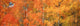 http://c328301.r1.cf1.rackcdn.com/DPI2023966.jpg