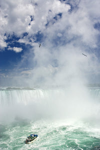 http://c328301.r1.cf1.rackcdn.com/DPI2029153LARGE.jpg