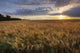 http://c328301.r1.cf1.rackcdn.com/DPI2032616.jpg
