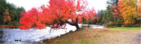 http://c328301.r1.cf1.rackcdn.com/DPI2033036LARGE.jpg