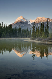 http://c328301.r1.cf1.rackcdn.com/DPI2034653LARGE.jpg