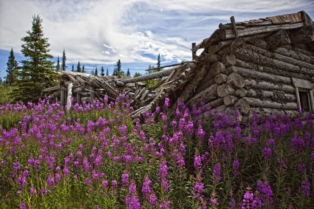 http://c328301.r1.cf1.rackcdn.com/DPI2037283.jpg