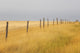 http://c328301.r1.cf1.rackcdn.com/DPI2038630.jpg