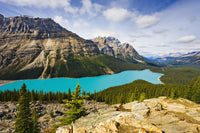 http://c328301.r1.cf1.rackcdn.com/DPI2046326LARGE.jpg
