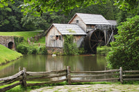 http://c328301.r1.cf1.rackcdn.com/DPI2047973LARGE.jpg