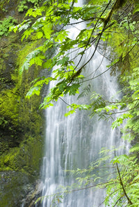 http://c328301.r1.cf1.rackcdn.com/DPI2061878.jpg