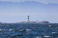 http://c328301.r1.cf1.rackcdn.com/DPI2089969LARGE.jpg