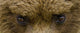 http://c328301.r1.cf1.rackcdn.com/DPI2093554.jpg