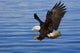 http://c328301.r1.cf1.rackcdn.com/DPI2103769.jpg