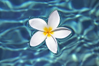 http://c328301.r1.cf1.rackcdn.com/DPI2116218LARGE.jpg