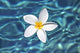 http://c328301.r1.cf1.rackcdn.com/DPI2116218.jpg