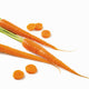 http://c328301.r1.cf1.rackcdn.com/DPI2118610.jpg