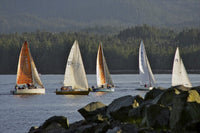 http://c328301.r1.cf1.rackcdn.com/DPI2142042.jpg
