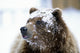 http://c328301.r1.cf1.rackcdn.com/DPI2149605.jpg