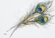 http://c328301.r1.cf1.rackcdn.com/DPI2321553.jpg
