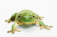 http://c328301.r1.cf1.rackcdn.com/DPI2331354.jpg