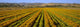 http://c328301.r1.cf1.rackcdn.com/DPI2344050.jpg