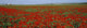 http://c328301.r1.cf1.rackcdn.com/DPI2344069.jpg
