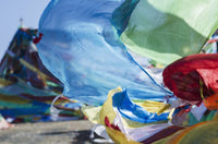 http://c328301.r1.cf1.rackcdn.com/DPI2421696LARGE.jpg