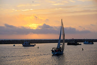 http://c328301.r1.cf1.rackcdn.com/DPI2424885LARGE.jpg