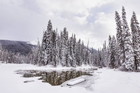 Winter Stream Near Emerald Lake - Photo Print by LJM Photo