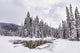 Winter Stream Near Emerald Lake - Photo Print by LJM Photo
