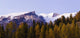 http://c328301.r1.cf1.rackcdn.com/DPI5339028.jpg