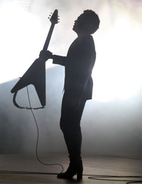 Lenny Kravitz 2013 Photo Print by John Barrett