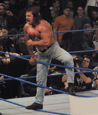 Triple H 2002 Photo Print by John Barrett - Framed & Canvas Options